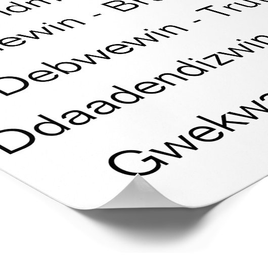 Zeven grootvaders Chippewa Tribe Teaching Poster (Hoek)