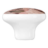 Zeven heilige pools in Sedona Arizona Keramische Knop (Zijkant)