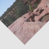 Zeven heilige pools in Sedona Arizona Tissuepapier (Detail)