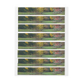 Zeven Herfst Bridge II Autumn Landschap (Vel)