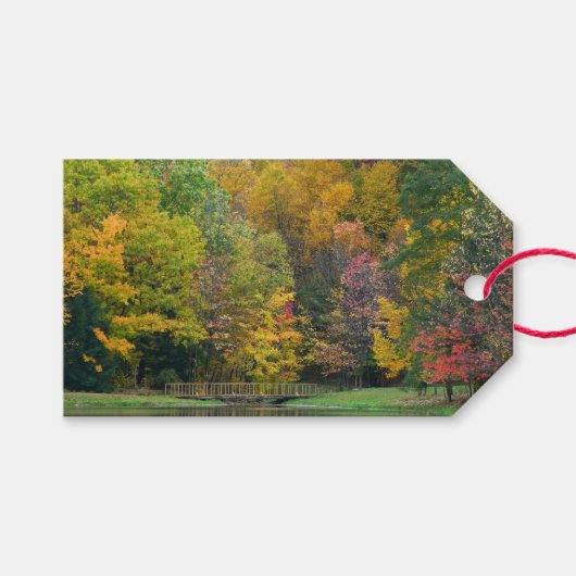 Zeven Herfst Bridge II Autumn Landschap Cadeaulabel (Voorkant (Horizontaal))