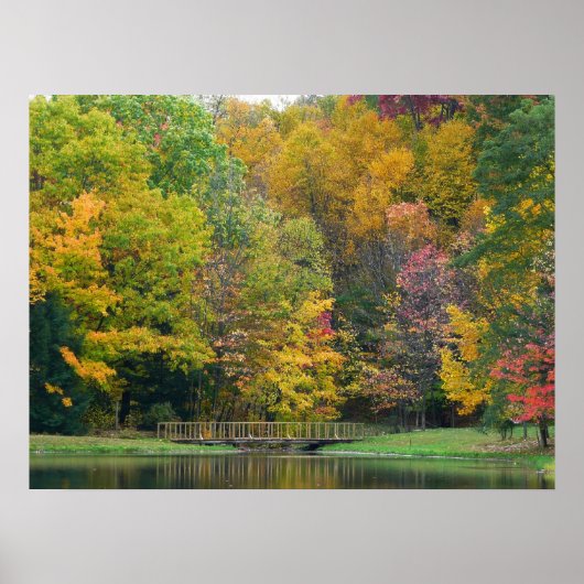 Zeven Herfst Bridge II Autumn Landschap Poster (Voorkant)