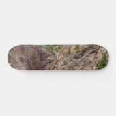 Zeven Herfsten Colorado Persoonlijk Skateboard (Horizontaal)