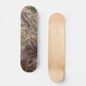 Zeven Herfsten Colorado Persoonlijk Skateboard (Voorkant)
