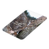 Zeven Herfsten, Colorado Springs Magneet (Linkerzijde)