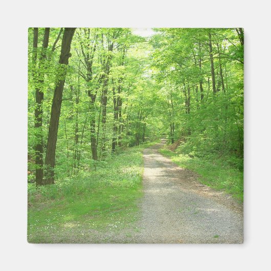 Zeven Lente magneet (Voorkant)