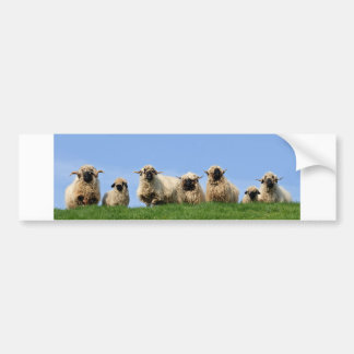 zeven merkwaardige rastschapen bumpersticker