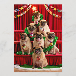 Zeven Pugs-a-Poze Kaart
