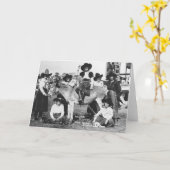 Zeven rodeo cowemmeisjes die met een ezel poseren kaart (Gele Bloem)