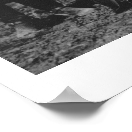 Zeven rodeo cowemmeisjes die met een ezel poseren poster (Hoek)