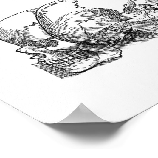 Zeven  Skulls Poster (Hoek)