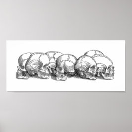 Zeven  Skulls Poster