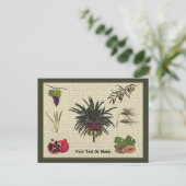 Zeven soorten briefkaart (Staand voorkant)