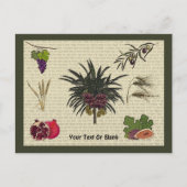 Zeven soorten briefkaart (Voorkant)