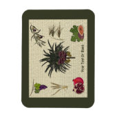 Zeven soorten magneet (Verticaal)