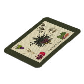 Zeven soorten magneet (Linkerzijde)