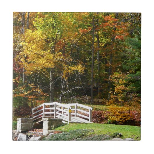 Zeven Springs Fall Bridge I Herfstlandschap Tegeltje (Voorkant)