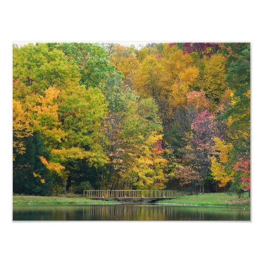 Zeven Springs Fall Bridge II Herfstlandschap Foto Afdruk (Voorkant)