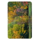 Zeven Springs Fall Bridge II Herfstlandschap Magneet (Verticaal)