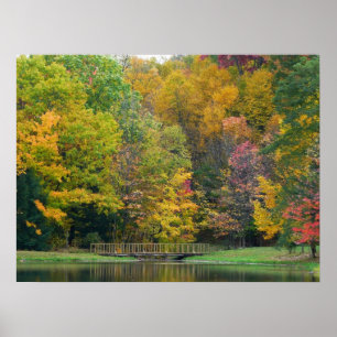 Zeven Springs Fall Bridge II Herfstlandschap Poster