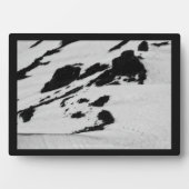 Zeven tot de top fotoplaat (voorkant)