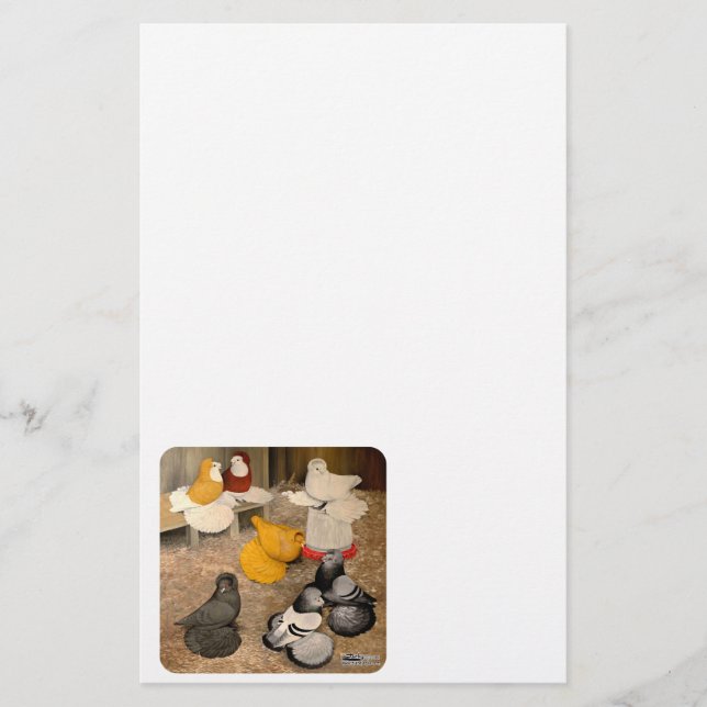 Zeven Trumpeter Pigeons (Voorkant)