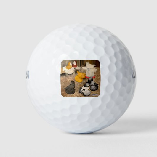 Zeven Trumpeter Pigeons Golfballen (Voorkant)