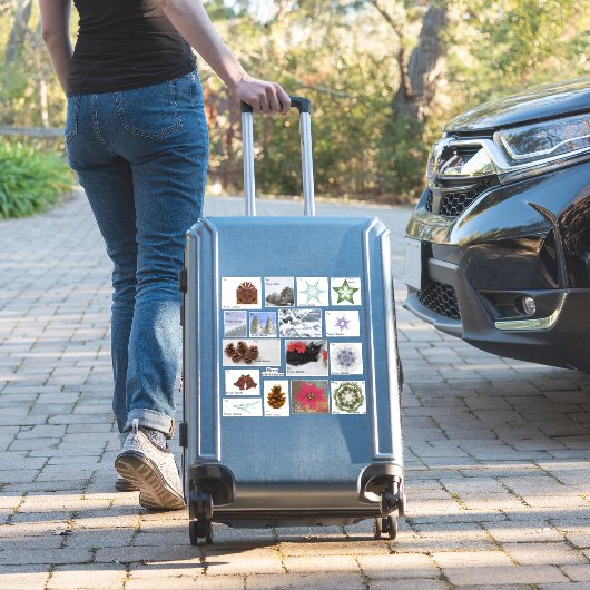 Zeventien Kerst Gift Label Assortiment | tot van (Koffer Insitu)