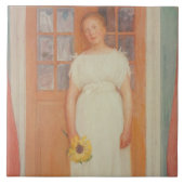 zeventien tegeltje (Voorkant)