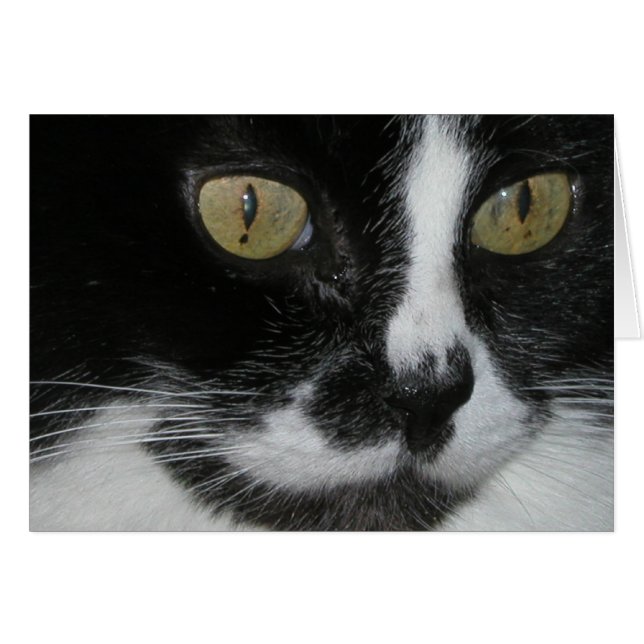 Zewa (Voorkant Horizontaal)