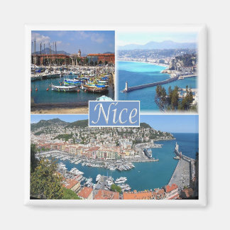 zFR044 NICE, Provence, Frankrijk, Fridge Magneet
