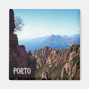 zFR109 Stad PORTO op Corsica, Frankrijk, Fridge Magneet