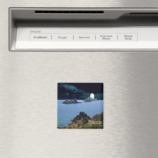 zFR127 AJACCIO panorama, Corsica, Fridge Magneet (Insitu (Vaatwasser))