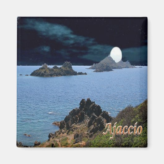zFR127 AJACCIO panorama, Corsica, Fridge Magneet (Voorkant)