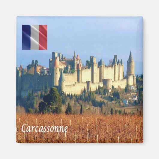 zFR143 CARCASSONNE, Frankrijk, Fridge Magneet (Voorkant)
