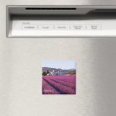 zFR149 PROVENCE, Frankrijk, Fridge Magneet (Insitu (Vaatwasser))
