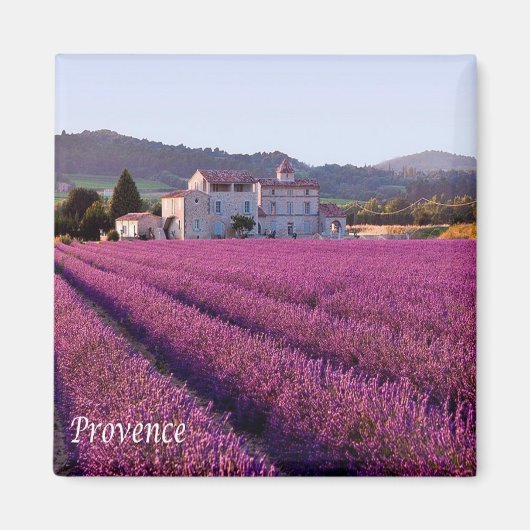 zFR149 PROVENCE, Frankrijk, Fridge Magneet (Voorkant)