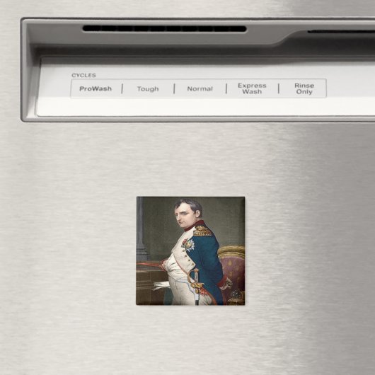 ZFR152 NAPOLEON BONAPARTE, Frankrijk, Fridge Magneet (Insitu (Vaatwasser))