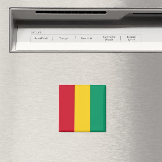 zGN001 GUINEE FLAG, Afrika, Fridge Magneet (Insitu (Vaatwasser))