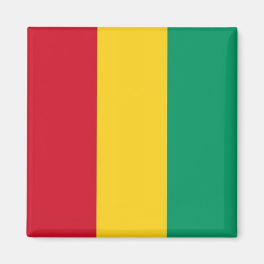 zGN001 GUINEE FLAG, Afrika, Fridge Magneet (Voorkant)
