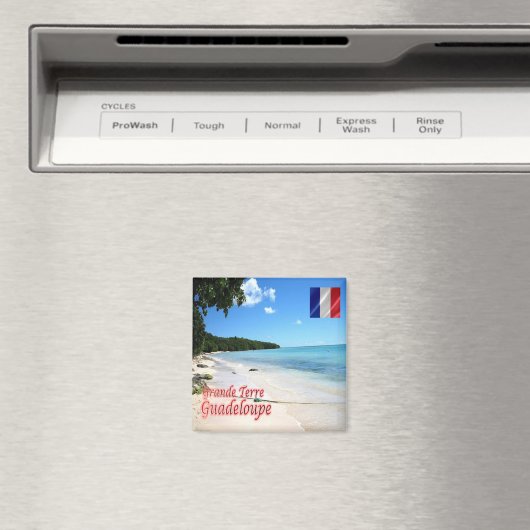 zGP004 GUADELOUPE, Grande Terre, Beach, Fridge Magneet (Insitu (Vaatwasser))