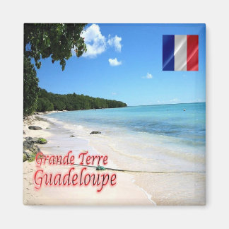 zGP004 GUADELOUPE, Grande Terre, Beach, Fridge Magneet