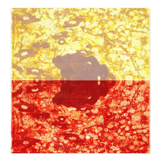 Zhao Chang - Afbeelding van het nieuwjaar (Gewijzi Foto Afdruk (Voorkant)