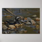 Zhenyuanlong Poster (Voorkant)