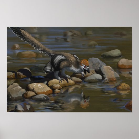 Zhenyuanlong Poster (Voorkant)