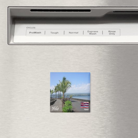 ZHI012 HILO, HAWAII, Panorama, Oceanië, Fridge Magneet (Insitu (Vaatwasser))