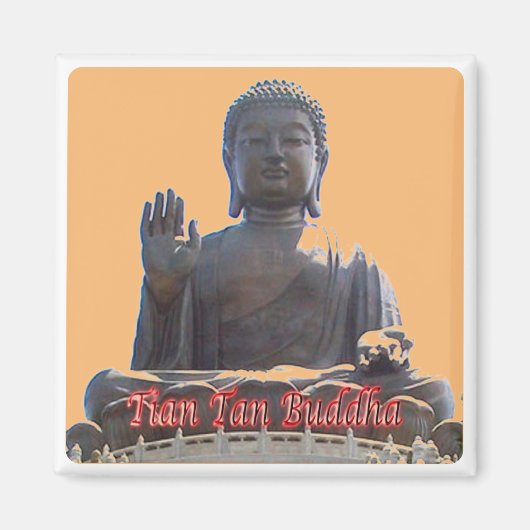 zHK020 TIAN TAN BUDDHA, Hong Kong, Souvenir Fridge Magneet (Voorkant)