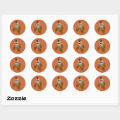 Zia Sun en Feathers Ronde Sticker (Vel)