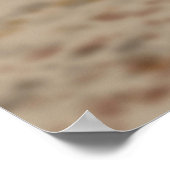 Zia Sun Heart Nopales woestijnscène New Mexico Poster (Hoek)