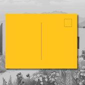 Zia Sun Puro Nuevo Mexico Briefkaart